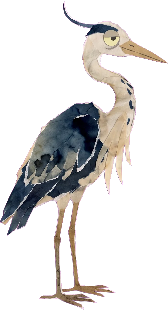 The heron's locked model pose, feathers settled at last.