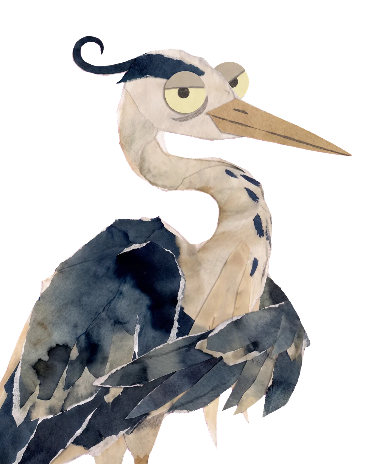The heron's sceptical look, boxed in far too tightly.